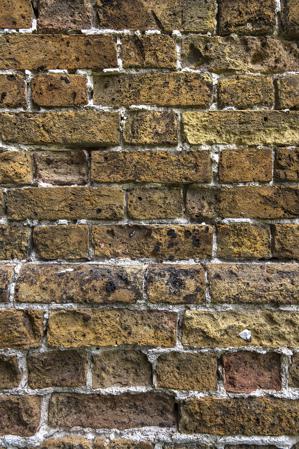 Possible greenhouse; detail of yellow brick laid in Flemish bond