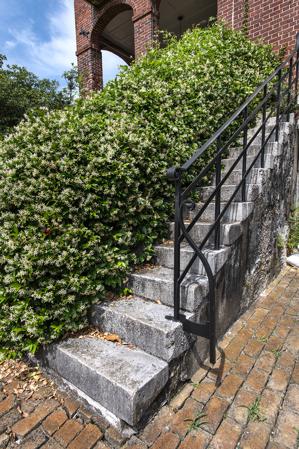 Early yellow-brick border around garden-side steps