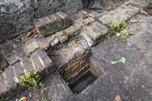 Early yellow-brick pad around garden-side steps with Savannah gr