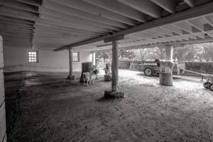 Understory of barn, ca. 1850