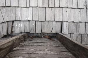 Square butt, Atlandtic white cedar shingles, 1705