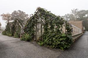 Greenhouse built by H. F duPont