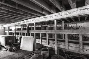 Cellar level used for animals; ca. 1850