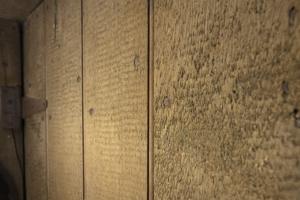 Sash-sawn door in cellar assembled with hand-forged nails