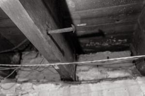 Hand-forged nail in side of cellar joist, ca. 1800-10