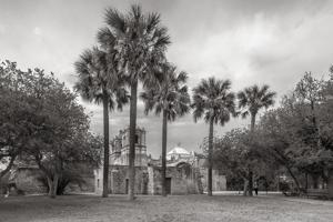 Mission Concepcion