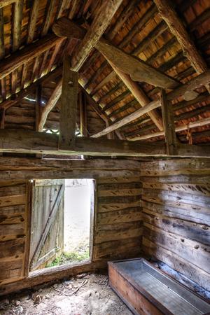 Interior roof and framing