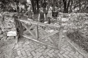 Ken Short; Allison Luthern; Heather Barrett examining garden wal