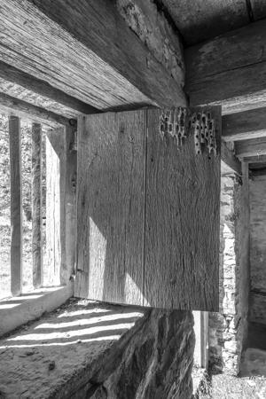 Recreated shutter
