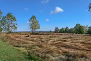 Revolutionary War battlefield