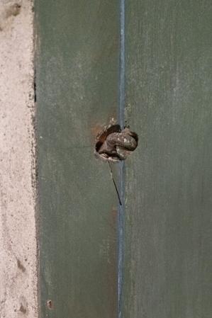 Casa Forte, dor hinge