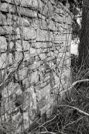 Rear elevation showing slot in wall