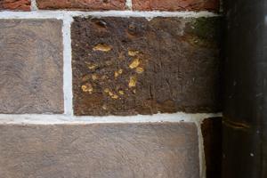 Graffiti on Choptank sandstone band in area