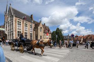 Horse and carriage