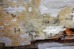 Burned decoratoin on ceiling in attic under later whitewash