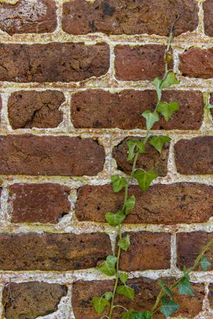 Detail of brickwork wiht yellow-glazed brick with iron inclusion