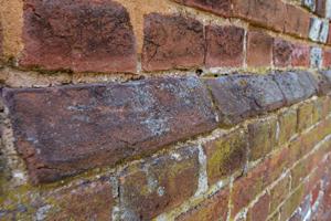Water table bricks cast to shape; east gable (note mold marks); 