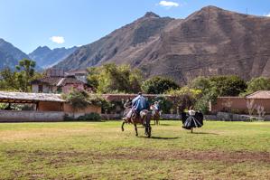 Peruvian Paso Horse and Marinera Dance