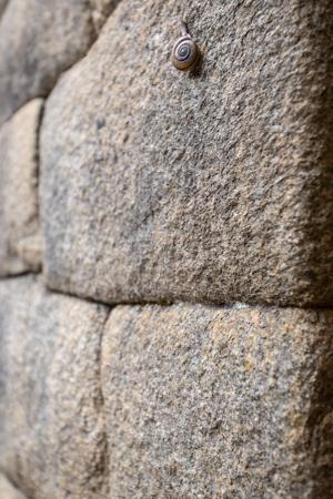 Snail on Inca ruins