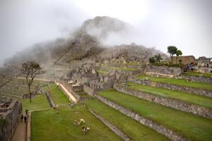 Agricultural terraces, Inca ruins, 15th century
