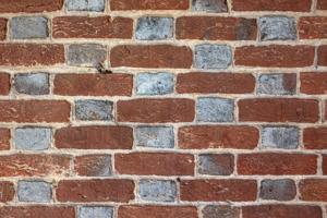 Glazed header Flemish bond on rear, 1790s