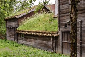 Outbuilding with green roof