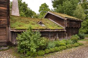 Green roof