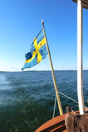 Swedish flag