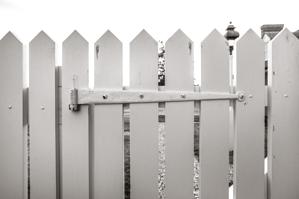 Gate hinge reproduced by Peter Ross